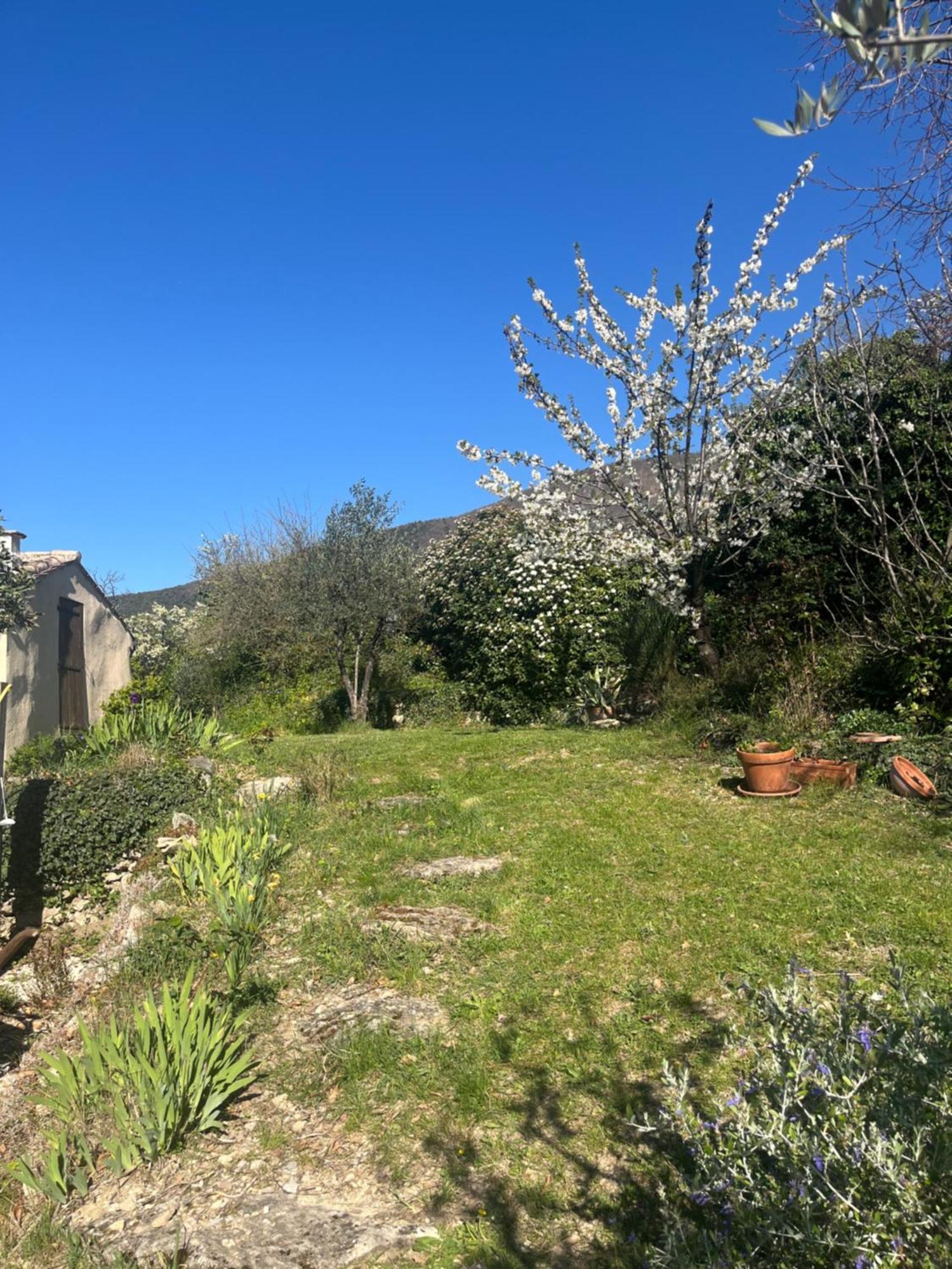 Cabanon Entoure De Montagnes Et D'Oliviers Villa Nyons Eksteriør billede